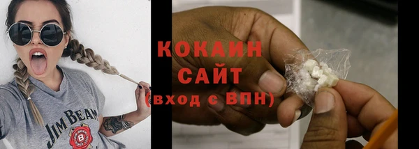 прущие грибы Богданович