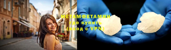прущие грибы Богданович