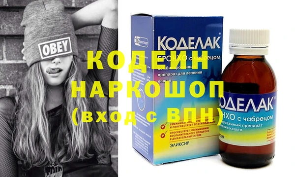 прущие грибы Богданович
