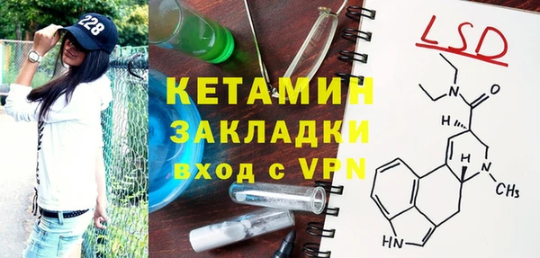 прущие грибы Богданович
