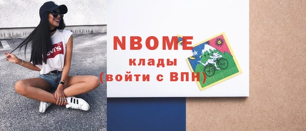 прущие грибы Богданович