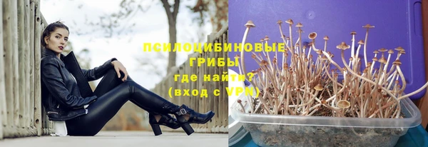 соль курить ск Богородск