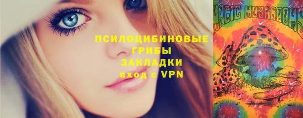 ПСИЛОЦИБИНОВЫЕ ГРИБЫ Белоозёрский